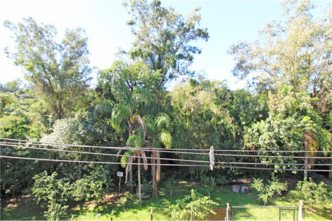Imagem Casa com 5 Quartos à Venda, em Agronomia - Porto Alegre Imagem Casa com 5 Quartos à Venda, em Agronomia - Porto Alegre