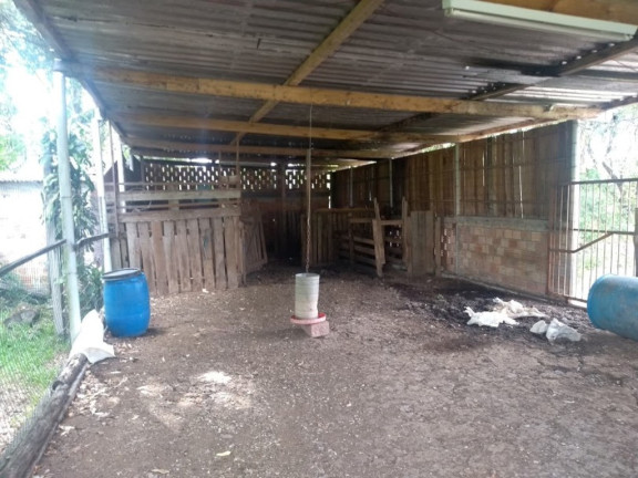 Imagem Imóvel com 4 Quartos à Venda, 150 m² em Lami - Porto Alegre Imagem Imóvel com 4 Quartos à Venda, 150 m² em Lami - Porto Alegre