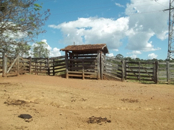 Imagem Fazenda à Venda, 222 m² em Zona Rural - Professor Jamil Imagem Fazenda à Venda, 222 m² em Zona Rural - Professor Jamil