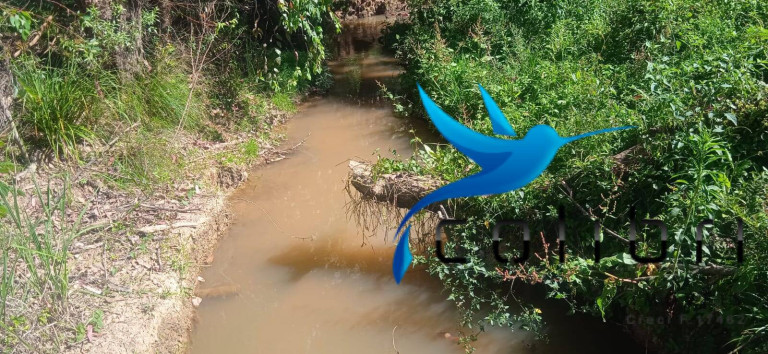 Imagem Chácara com 3 Quartos à Venda, 10.300 m² em Agua Clara - Quitandinha Imagem Chácara com 3 Quartos à Venda, 10.300 m² em Agua Clara - Quitandinha