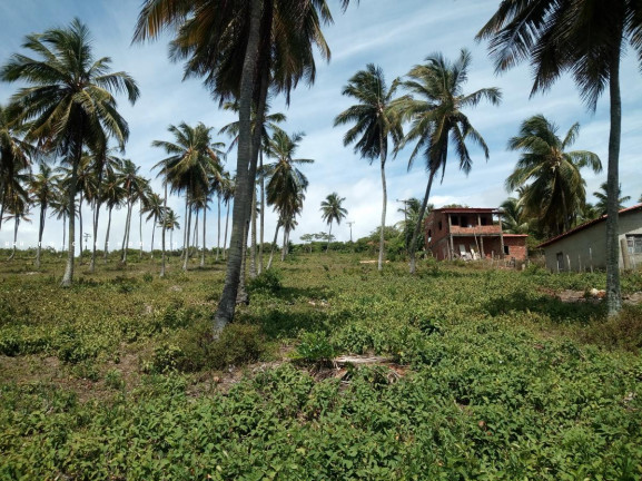 Imagem Terreno à Venda, 100.000 m² em Barra Do Itariri - Conde