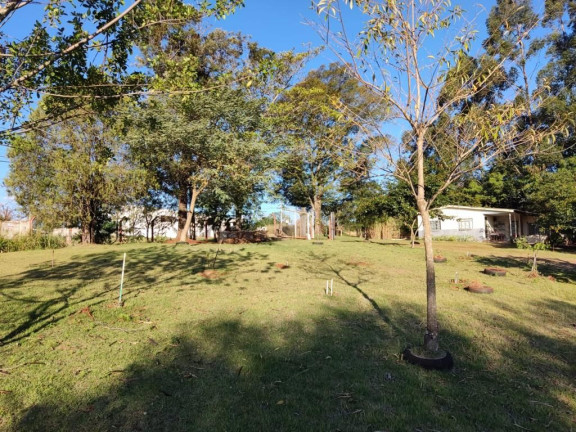 Imagem Imóvel com 3 Quartos à Venda, 29.000 m² em Tres Lagoas Imagem Imóvel com 3 Quartos à Venda, 29.000 m² em Tres Lagoas