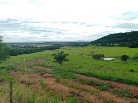 Imagem Chácara à Venda, em Cuiabá Imagem Chácara à Venda, em Cuiabá