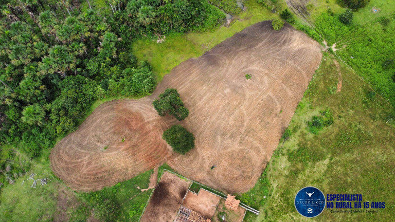 Imagem Fazenda à Venda, 170 m² em Zona Rural - Presidente Kennedy Imagem Fazenda à Venda, 170 m² em Zona Rural - Presidente Kennedy