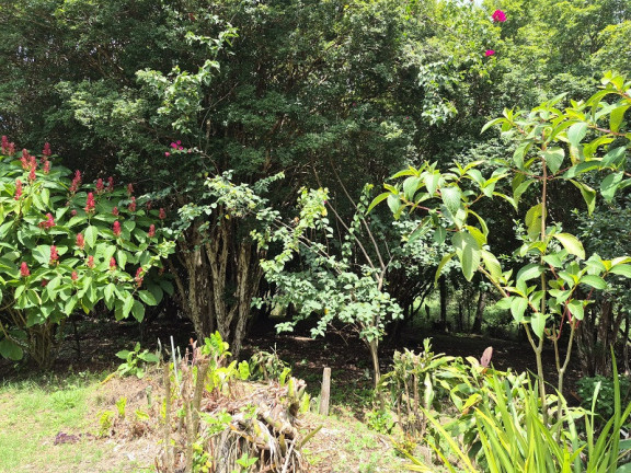 Imagem Imóvel à Venda, em São José Dos Campos Imagem Imóvel à Venda, em São José Dos Campos