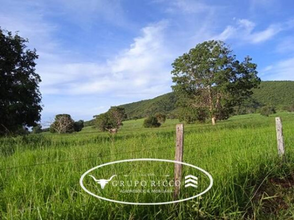 Imagem Fazenda à Venda, em Zona Rural - Montes Claros De Goiás Imagem Fazenda à Venda, em Zona Rural - Montes Claros De Goiás