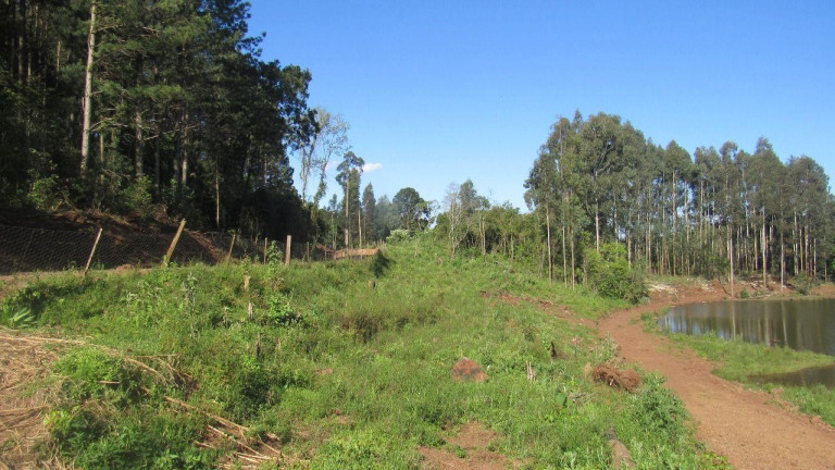 Imagem Casa com 1 Quarto à Venda, 36.000 m² em Centro - Lindóia Do Sul Imagem Casa com 1 Quarto à Venda, 36.000 m² em Centro - Lindóia Do Sul