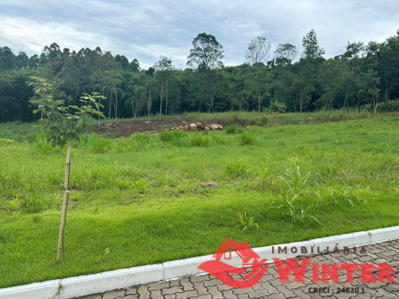 Imagem Terreno à Venda, 390 m² em Picada Cara - Feliz Imagem Terreno à Venda, 390 m² em Picada Cara - Feliz