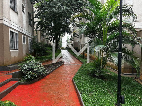 Imagem Apartamento com 2 Quartos para Alugar, 50 m² em Jardim Adriana - Guarulhos Imagem Apartamento com 2 Quartos para Alugar, 50 m² em Jardim Adriana - Guarulhos