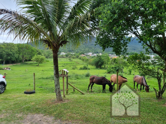 Imagem Imóvel com 3 Quartos à Venda, 12.272 m² em Vargem Grande - Florianópolis Imagem Imóvel com 3 Quartos à Venda, 12.272 m² em Vargem Grande - Florianópolis