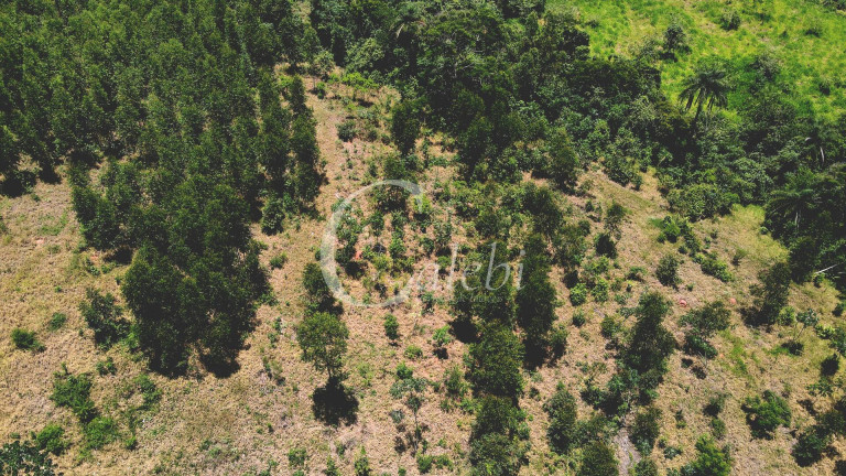 Imagem Chácara à Venda, 4 m² em área Rural De Mogi Guaçu - Mogi Guaçu Imagem Chácara à Venda, 4 m² em área Rural De Mogi Guaçu - Mogi Guaçu