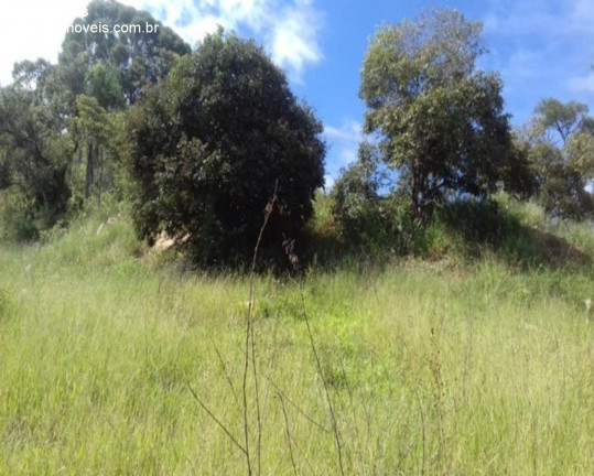Imagem Terreno à Venda, 20.000 m² em Marmeleiro - São Roque Imagem Terreno à Venda, 20.000 m² em Marmeleiro - São Roque