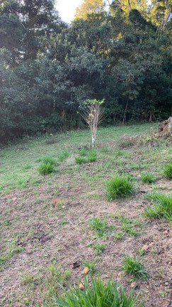 Imagem Chácara à Venda, 3 m² em Portão - Atibaia Imagem Chácara à Venda, 3 m² em Portão - Atibaia