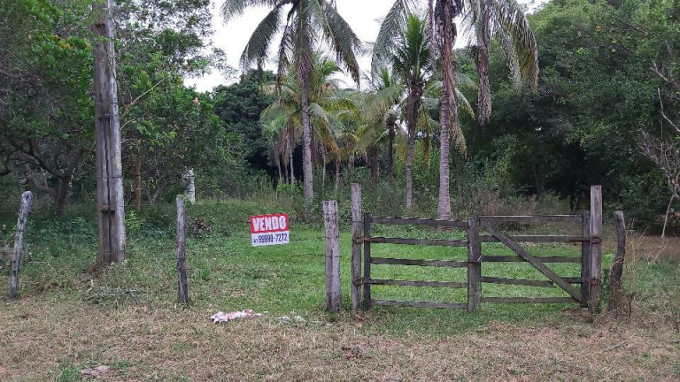 Imagem Imóvel com 1 Quarto à Venda, 14 m² em Zona Rural - Aquidauana