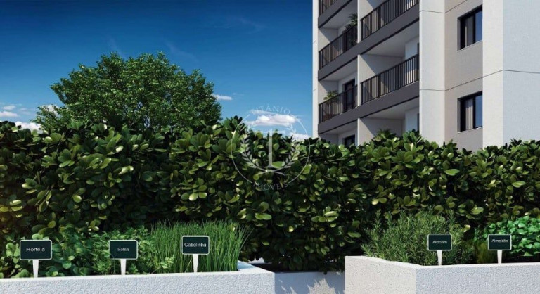 Imagem Apartamento com 2 Quartos à Venda, 36 m² em Jabaquara - São Paulo Imagem Apartamento com 2 Quartos à Venda, 36 m² em Jabaquara - São Paulo
