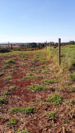 Imagem Terreno à Venda, 250 m² em Jardim Ferrari Ii - Pirassununga Imagem Terreno à Venda, 250 m² em Jardim Ferrari Ii - Pirassununga