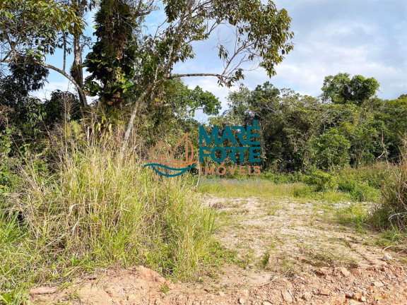 Imagem Terreno à Venda, 375 m² em Maranduba - Ubatuba Imagem Terreno à Venda, 375 m² em Maranduba - Ubatuba