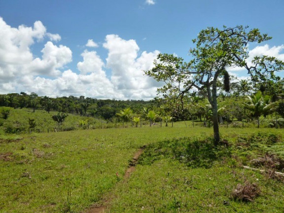 Imagem Imóvel à Venda, em Aderno - Ilhéus Imagem Imóvel à Venda, em Aderno - Ilhéus