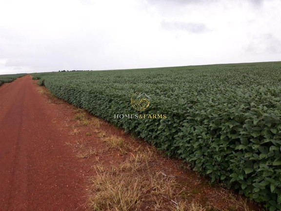 Imagem Imóvel com 3 Quartos à Venda, 17.897 m² em Zona Rural - água Boa Imagem Imóvel com 3 Quartos à Venda, 17.897 m² em Zona Rural - água Boa