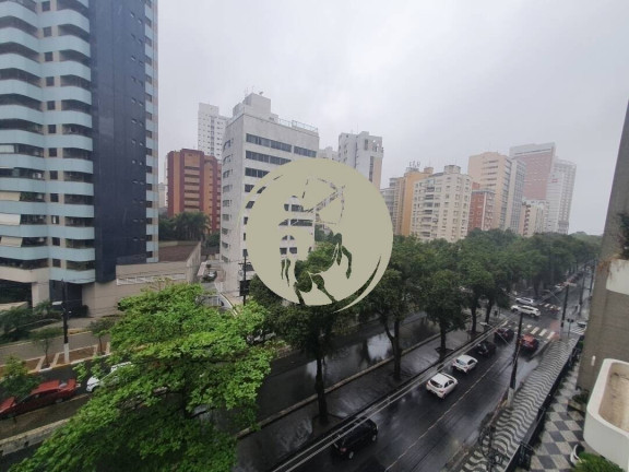 Imagem Apartamento com 4 Quartos à Venda, 445 m² em Boqueirao - Santos Imagem Apartamento com 4 Quartos à Venda, 445 m² em Boqueirao - Santos