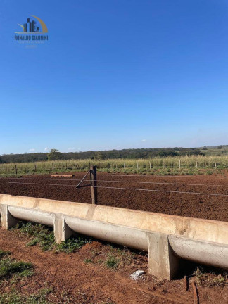 Imagem Fazenda à Venda, 12.490.000 m² em Vila Maria - Santa Fé Do Sul