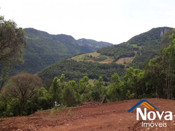 Imagem Imóvel à Venda, 31.701 m² em Linha Pirajá Baixa - Nova Petrópolis Imagem Imóvel à Venda, 31.701 m² em Linha Pirajá Baixa - Nova Petrópolis