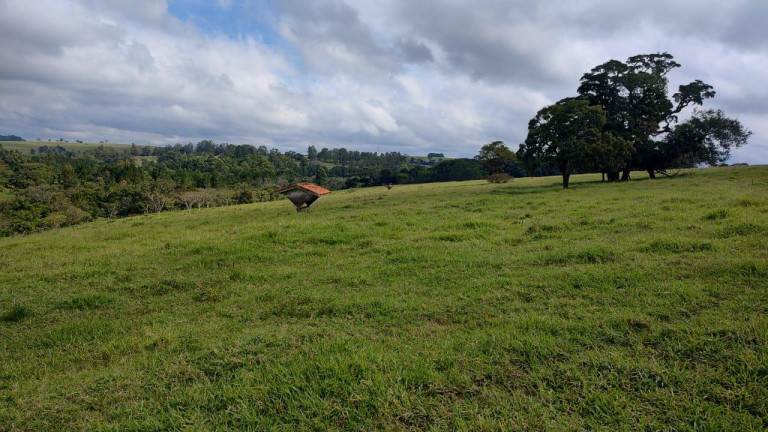 Imagem Fazenda à Venda, 64 m² em Rural - Itapetininga