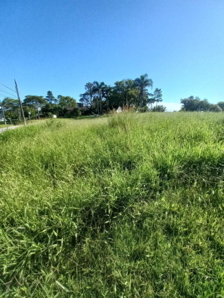 Imagem Terreno à Venda, 597 m² em Pedra Branca - Palhoça
