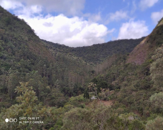 Imagem Imóvel à Venda, 2.500.000 m² em Fazenda Bela Vista - Nova Friburgo