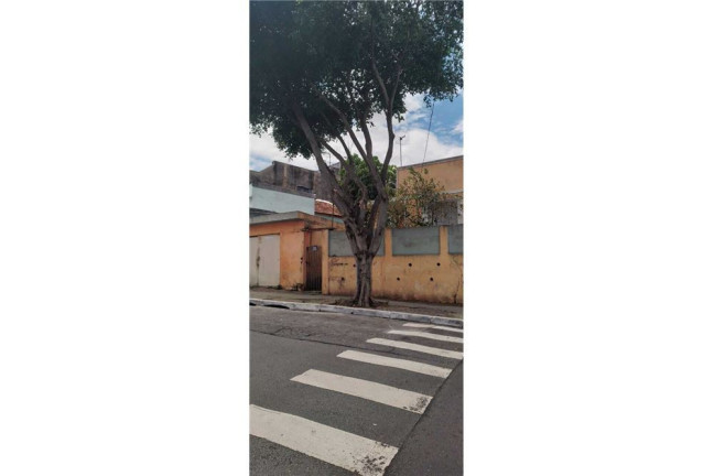 Imagem Casa com 4 Quartos à Venda, em Vila Matilde - São Paulo Imagem Casa com 4 Quartos à Venda, em Vila Matilde - São Paulo
