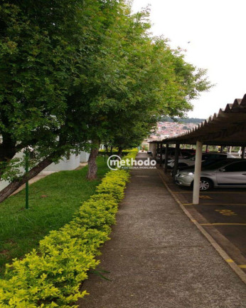 Imagem Apartamento com 2 Quartos à Venda, 52 m² em Cidade Satélite íris - Campinas Imagem Apartamento com 2 Quartos à Venda, 52 m² em Cidade Satélite íris - Campinas