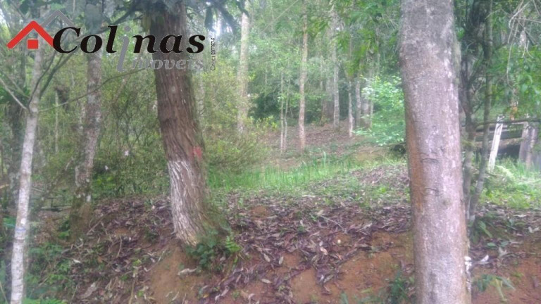 Imagem Imóvel com 3 Quartos à Venda, em Depois Do Centro - Ibiúna Imagem Imóvel com 3 Quartos à Venda, em Depois Do Centro - Ibiúna