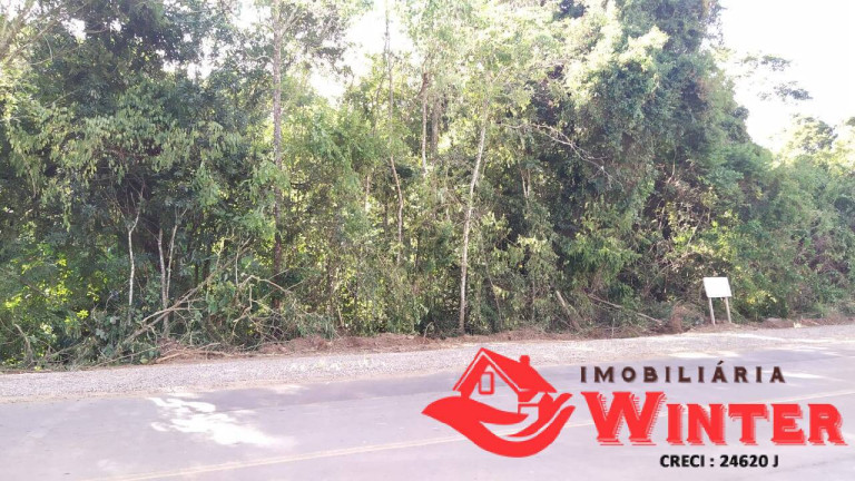Imagem Terreno à Venda, 3.030 m² em Bela Vista - Feliz Imagem Terreno à Venda, 3.030 m² em Bela Vista - Feliz