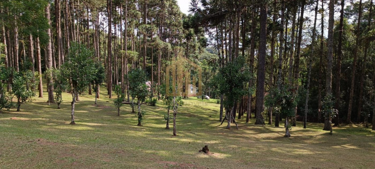 Imagem Chácara com 4 Quartos à Venda, 86.748 m² em São Dimas - Colombo