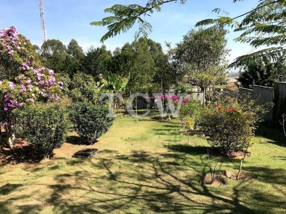 Imagem Imóvel com 3 Quartos à Venda, 21.000 m² em Parque Da Fazenda - Itatiba Imagem Imóvel com 3 Quartos à Venda, 21.000 m² em Parque Da Fazenda - Itatiba