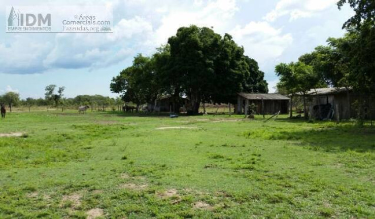 Imagem Chácara à Venda, 300.000.000 m² em Centro - Luciára
