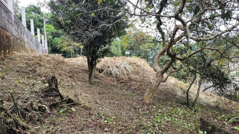 Imagem Terreno à Venda, 748 m² em Costa E Silva - Joinville
