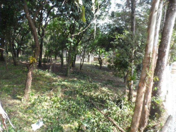 Imagem Imóvel à Venda, 3.200 m² em Protestantes - Votorantim Imagem Imóvel à Venda, 3.200 m² em Protestantes - Votorantim