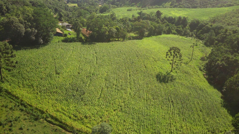 Imagem Terreno à Venda, 196.000 m² em Rural - Lindóia Do Sul Imagem Terreno à Venda, 196.000 m² em Rural - Lindóia Do Sul