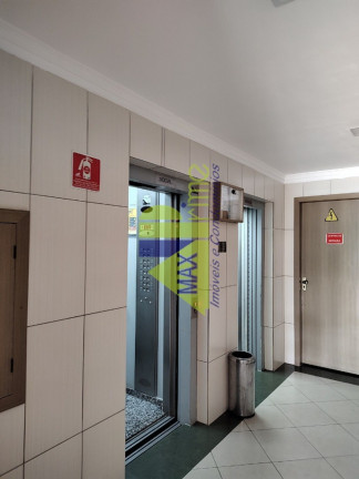 Imagem Apartamento com 3 Quartos à Venda, 58 m² em Jardim Santa Terezinha (zona Leste) - São Paulo Imagem Apartamento com 3 Quartos à Venda, 58 m² em Jardim Santa Terezinha (zona Leste) - São Paulo