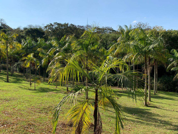 Imagem Fazenda à Venda, 34.464 m² em Piratuba - Piedade Imagem Fazenda à Venda, 34.464 m² em Piratuba - Piedade