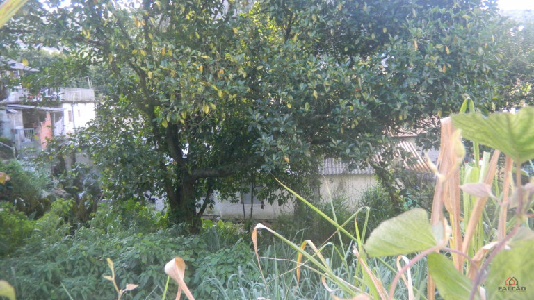 Imagem Terreno à Venda, 1.356 m² em Marapé - Santos Imagem Terreno à Venda, 1.356 m² em Marapé - Santos