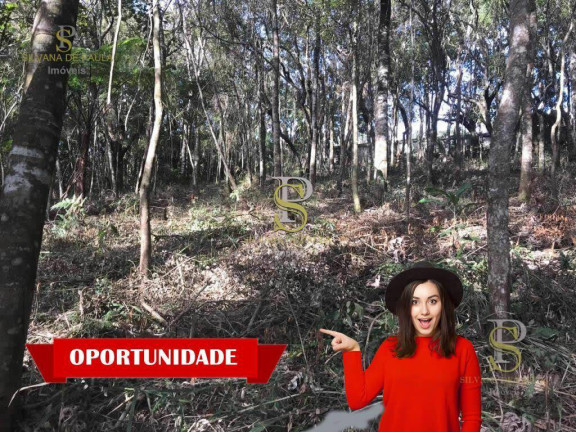 Imagem Terreno à Venda, 1.500 m² em Mairiporã - Mairiporã Imagem Terreno à Venda, 1.500 m² em Mairiporã - Mairiporã