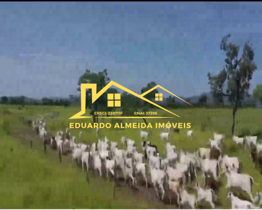 Imagem Imóvel à Venda,  em Barreira Da Onça - Arraias