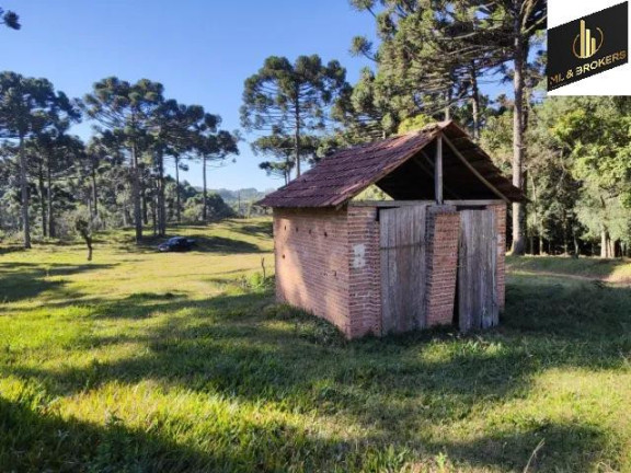 Imóvel com 2 Quartos à Venda, 20.000 m² em Zona Rural - Balsa Nova