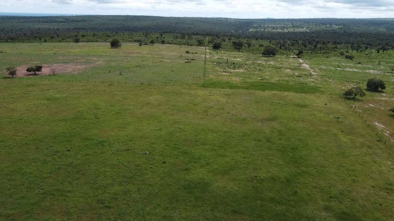 Imagem Fazenda à Venda, 340 m² em área Rural De Rondonópolis - Rondonópolis Imagem Fazenda à Venda, 340 m² em área Rural De Rondonópolis - Rondonópolis