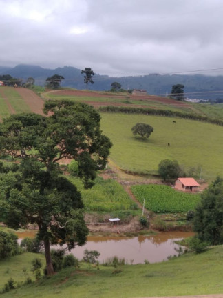 Imagem Imóvel com 4 Quartos à Venda, 300 m² em Real - Caldas Imagem Imóvel com 4 Quartos à Venda, 300 m² em Real - Caldas