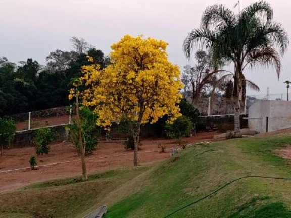 Imagem Casa com 6 Quartos à Venda, 360 m² em Monte Negro - Santa Isabel Imagem Casa com 6 Quartos à Venda, 360 m² em Monte Negro - Santa Isabel