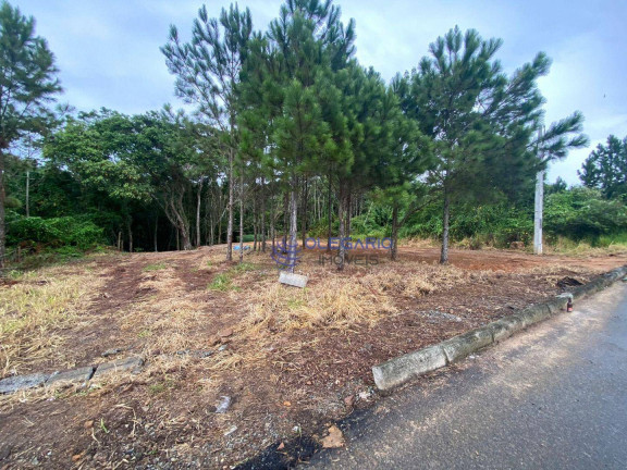 Imagem Terreno à Venda, 1.995 m² em Centro - Penha Imagem Terreno à Venda, 1.995 m² em Centro - Penha