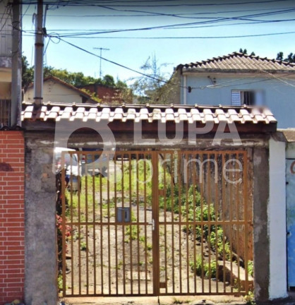 Imagem Terreno à Venda, 70 m² em Vila Maria - São Paulo Imagem Terreno à Venda, 70 m² em Vila Maria - São Paulo